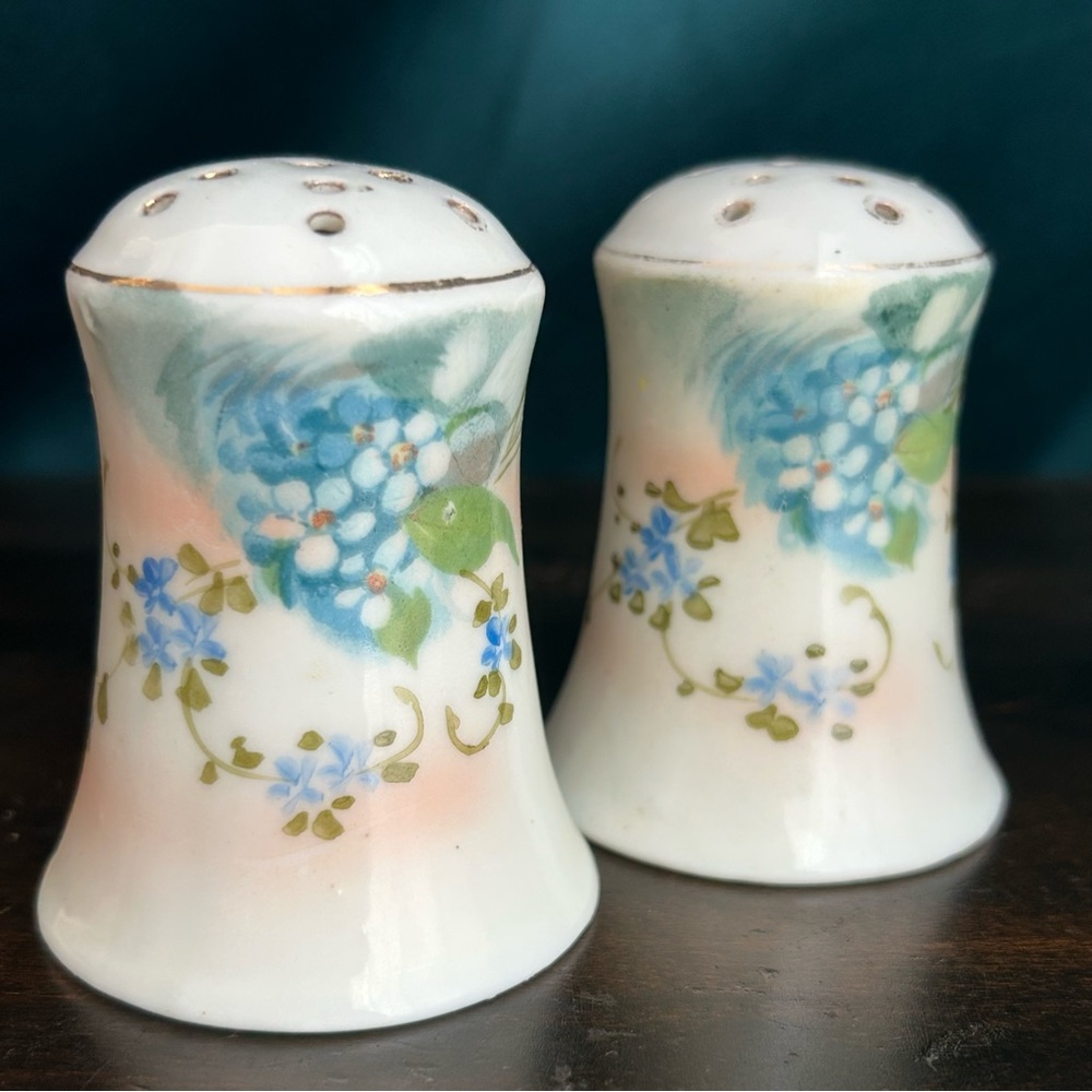 1940s Takito Japan Hand Painted Floral  Salt and Pepper Shakers